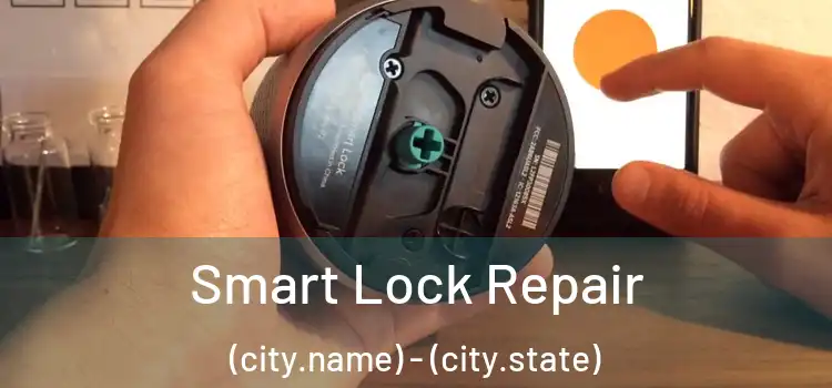 Smart Lock Repair (city.name) - (city.state)